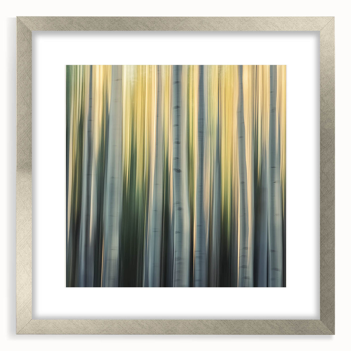 Golden Birch Blur – Dynamic Abstract Forest Motion Wall Art