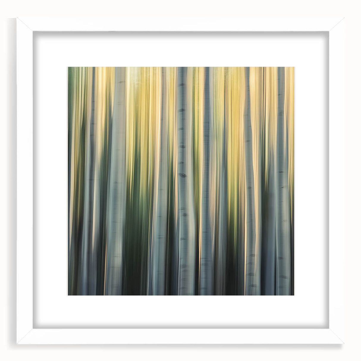 Golden Birch Blur – Dynamic Abstract Forest Motion Wall Art