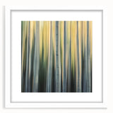 Golden Birch Blur – Dynamic Abstract Forest Motion Wall Art
