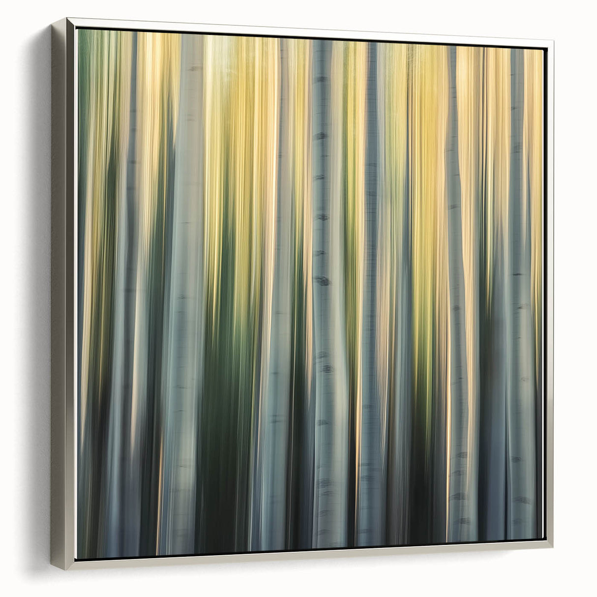 Golden Birch Blur – Dynamic Abstract Forest Motion Wall Art