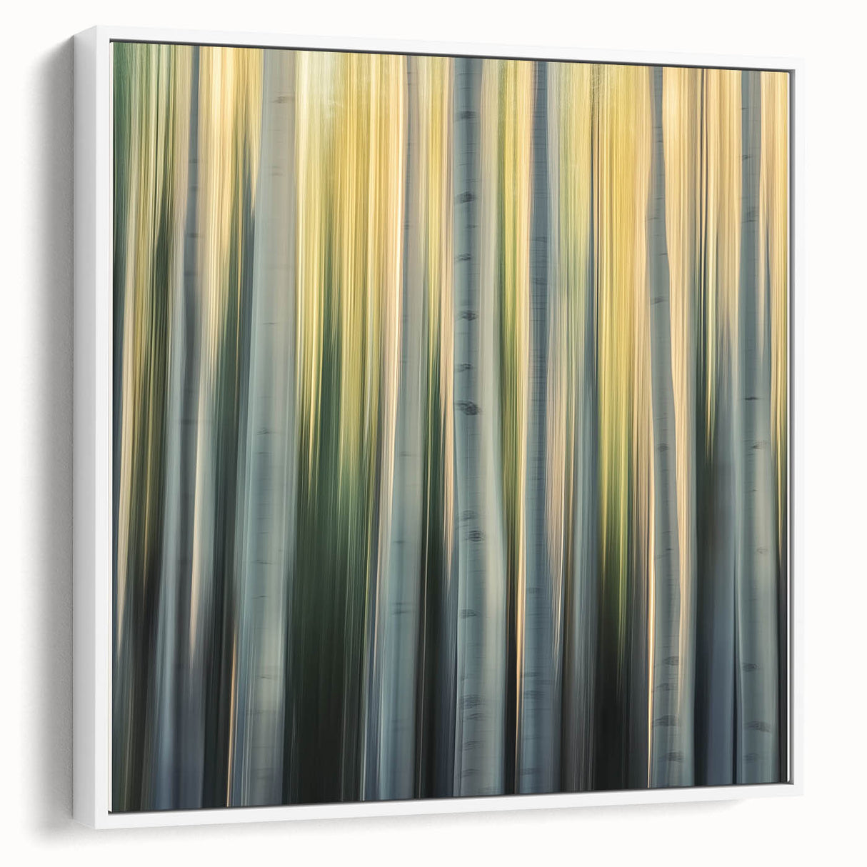 Golden Birch Blur – Dynamic Abstract Forest Motion Wall Art