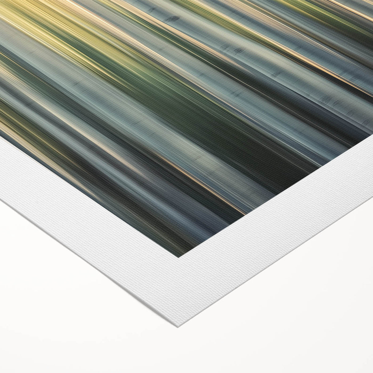 Golden Birch Blur – Dynamic Abstract Forest Motion Wall Art