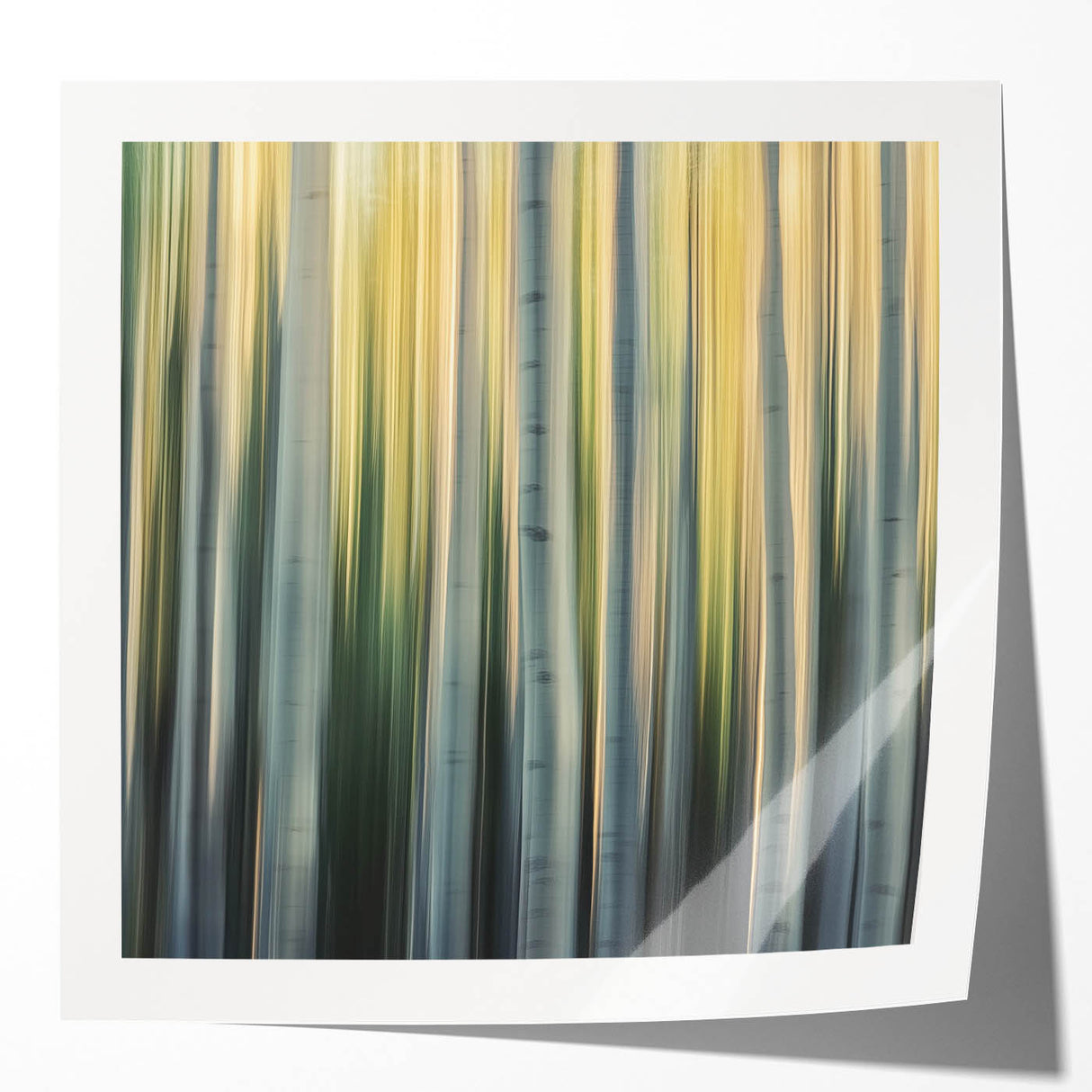 Golden Birch Blur – Dynamic Abstract Forest Motion Wall Art