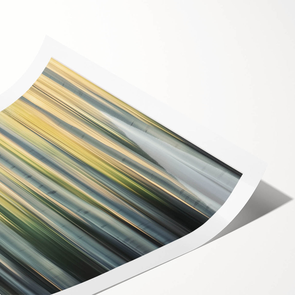 Golden Birch Blur – Dynamic Abstract Forest Motion Wall Art