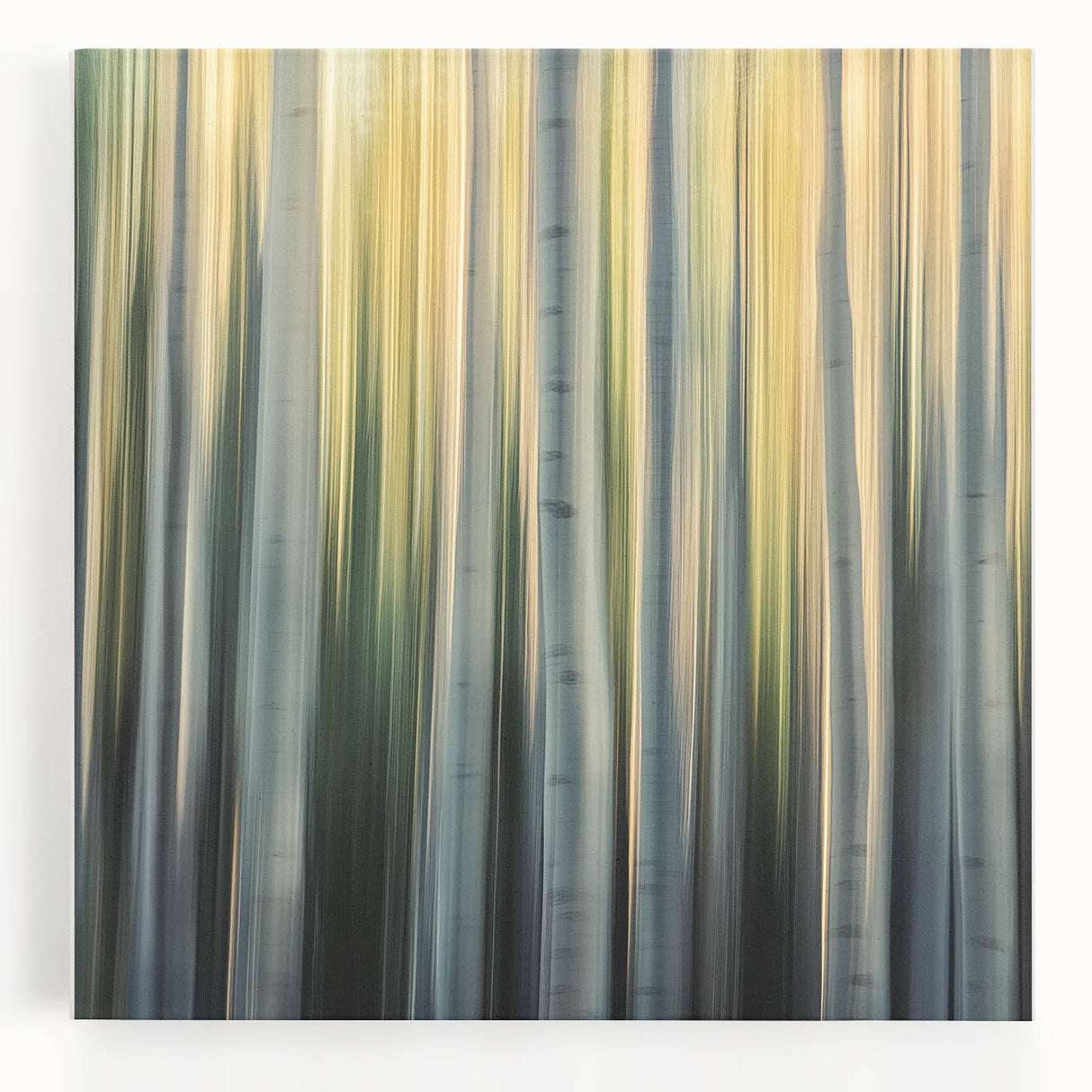 Golden Birch Blur – Dynamic Abstract Forest Motion Wall Art