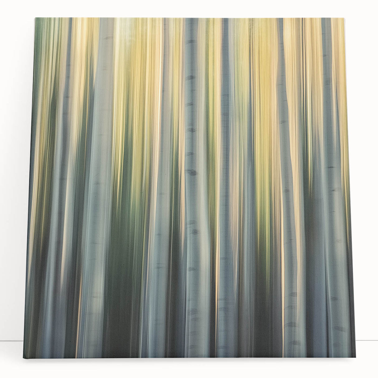 Golden Birch Blur – Dynamic Abstract Forest Motion Wall Art