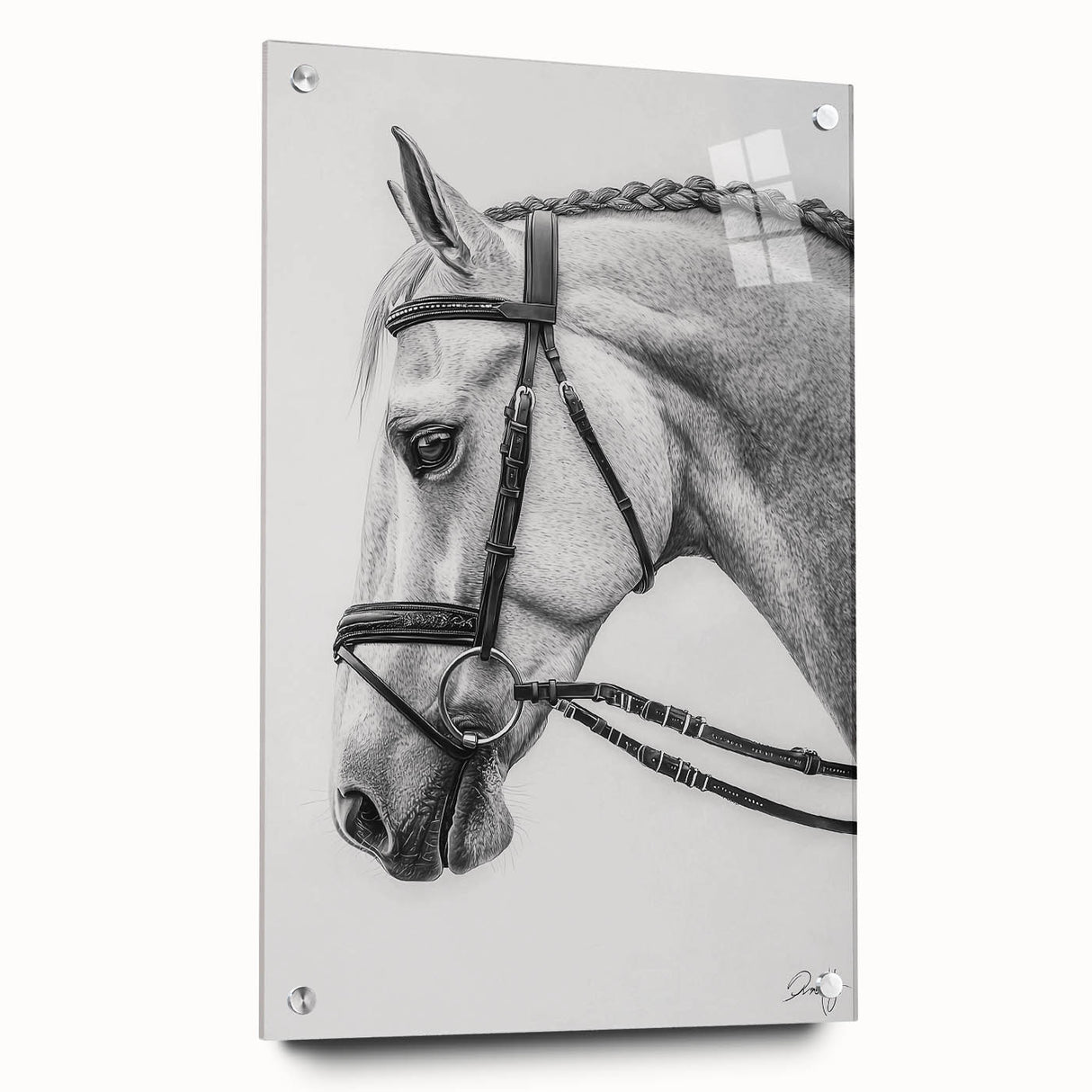 Acrylic glass art featuring a colorful side view of various animals, mounted with pins for display. Ideal for nature-themed decor in homes or offices.