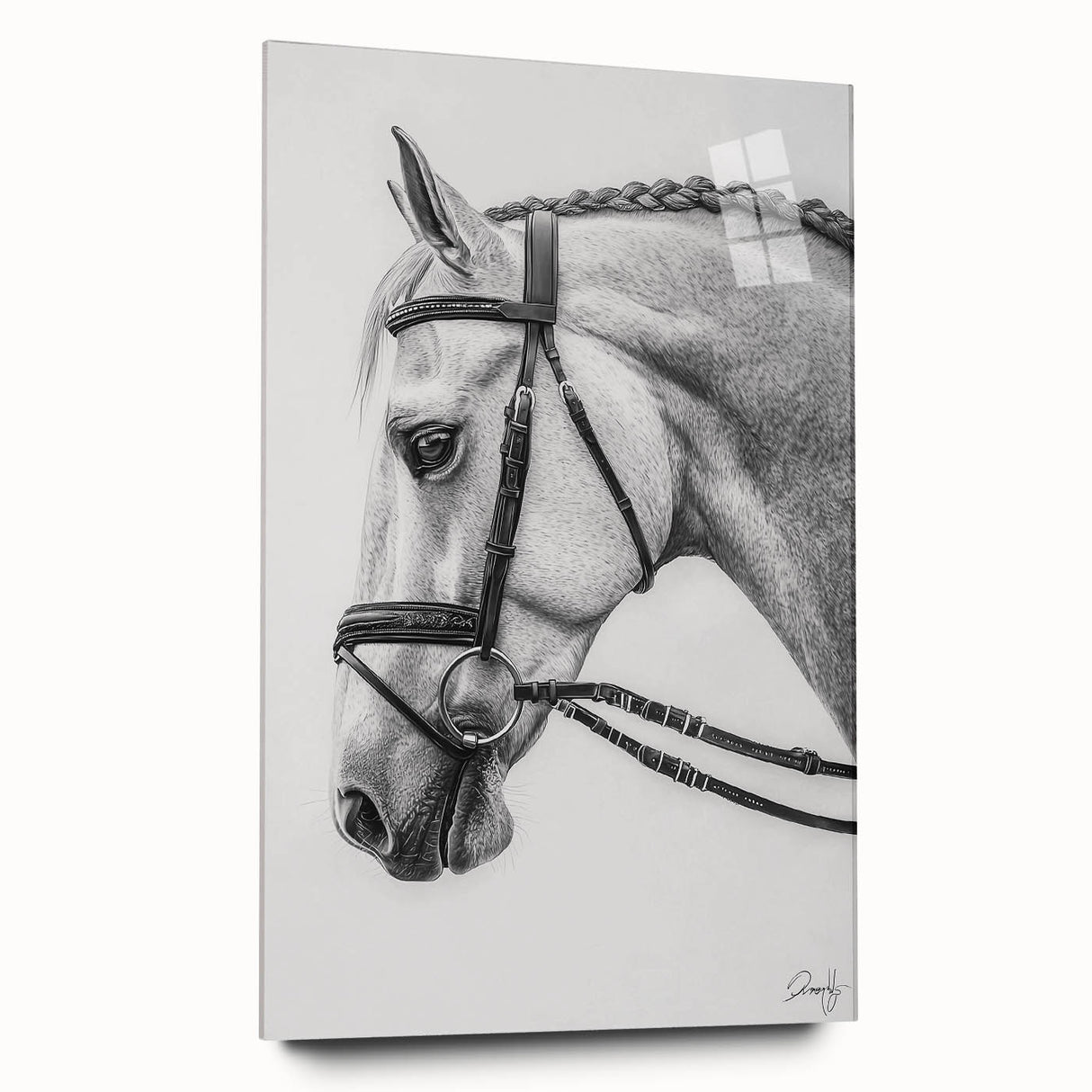 Acrylic glass artwork featuring a side view of a colorful animal design, showcasing vibrant hues and intricate details, perfect for enhancing modern home decor.