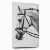 Acrylic glass artwork featuring a side view of a colorful animal design, showcasing vibrant hues and intricate details, perfect for enhancing modern home decor.