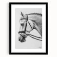 Black-framed wall art featuring a collection of animal illustrations, showcasing vibrant colors and intricate details, perfect for enhancing home decor.