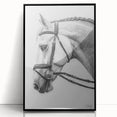 Framed acrylic wall art featuring a vibrant animal design, showcasing intricate details and a sleek black frame, perfect for enhancing modern interior decor.