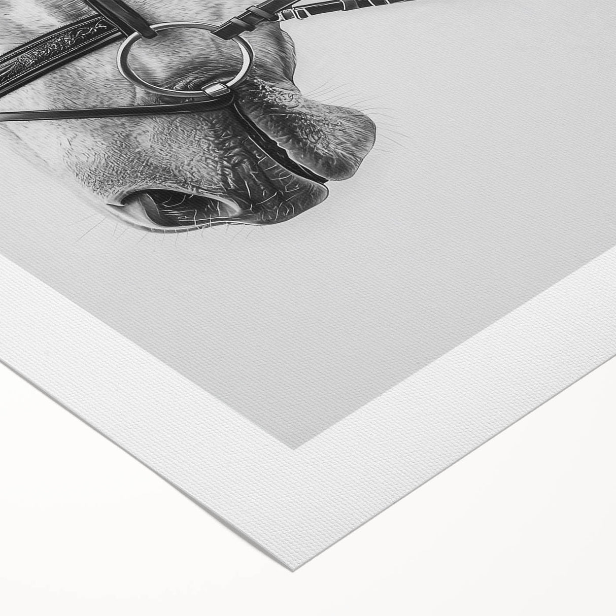 Rolled canvas showcasing vibrant animal-themed wall art design, featuring intricate details and rich colors, securely packaged in a protective cardboard tube for easy transport.