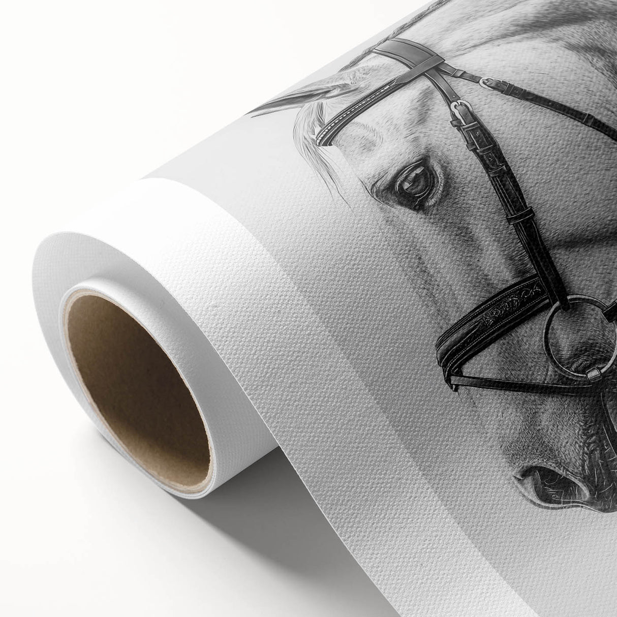 Rolled canvas showcasing vibrant, colorful animal illustrations in a contemporary art style, elegantly packaged in a protective cardboard tube for easy display.
