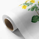 Neoclassical Botanical Print: Mimulus by Redouté - Elegant Floral Art