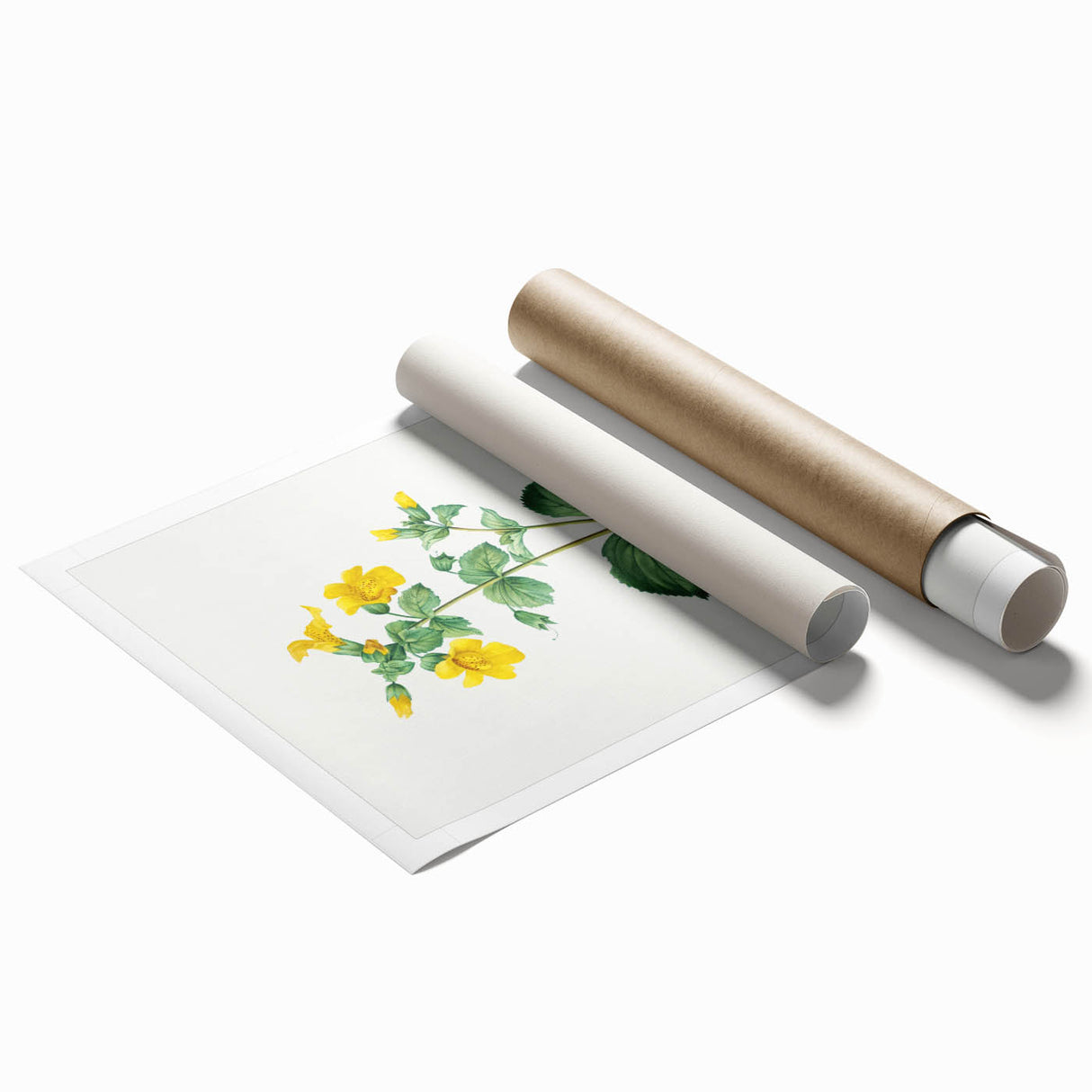 Neoclassical Botanical Print: Mimulus by Redouté - Elegant Floral Art