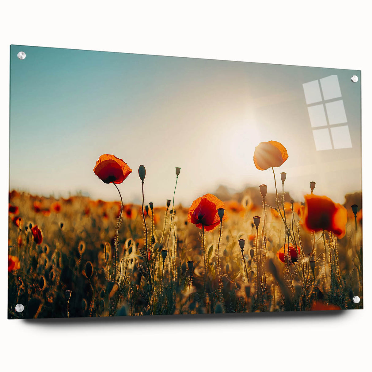 Acrylic glass artwork displaying a vibrant landscape of rolling fields in vivid colors, mounted with pins for a modern presentation, ideal for home decor.