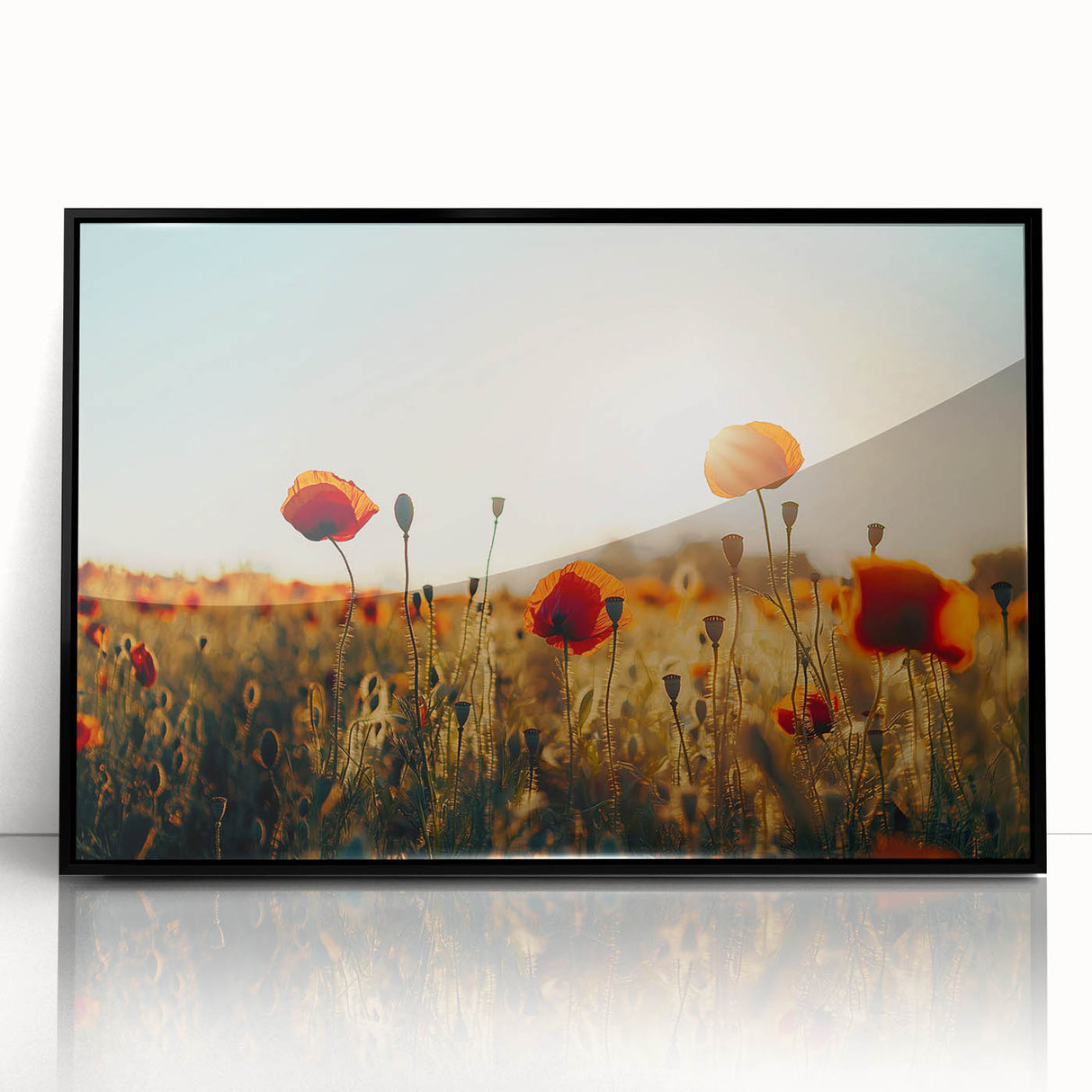 Framed acrylic artwork showcasing a vibrant landscape of golden fields under a bright blue sky, featuring a sleek black frame for modern decor. Ideal for enhancing living spaces with nature-inspired aesthetics.