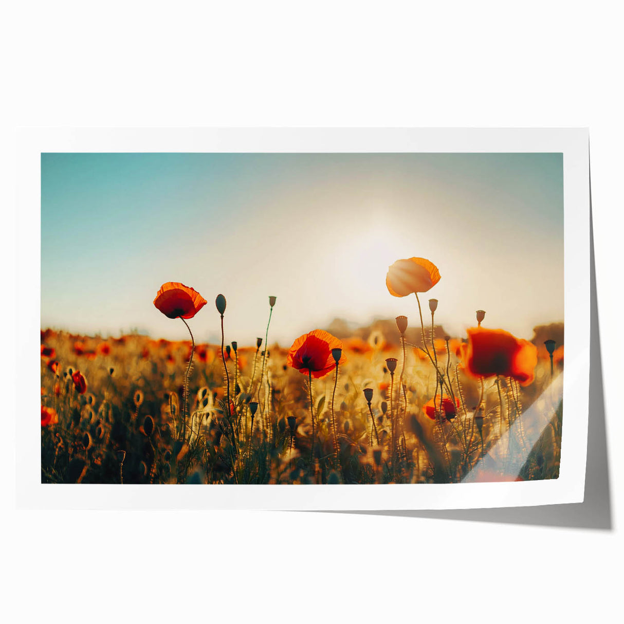 Vibrant landscape print showcasing rolling green fields under a bright blue sky, beautifully rolled and packaged in a protective tube, ideal for home decor.