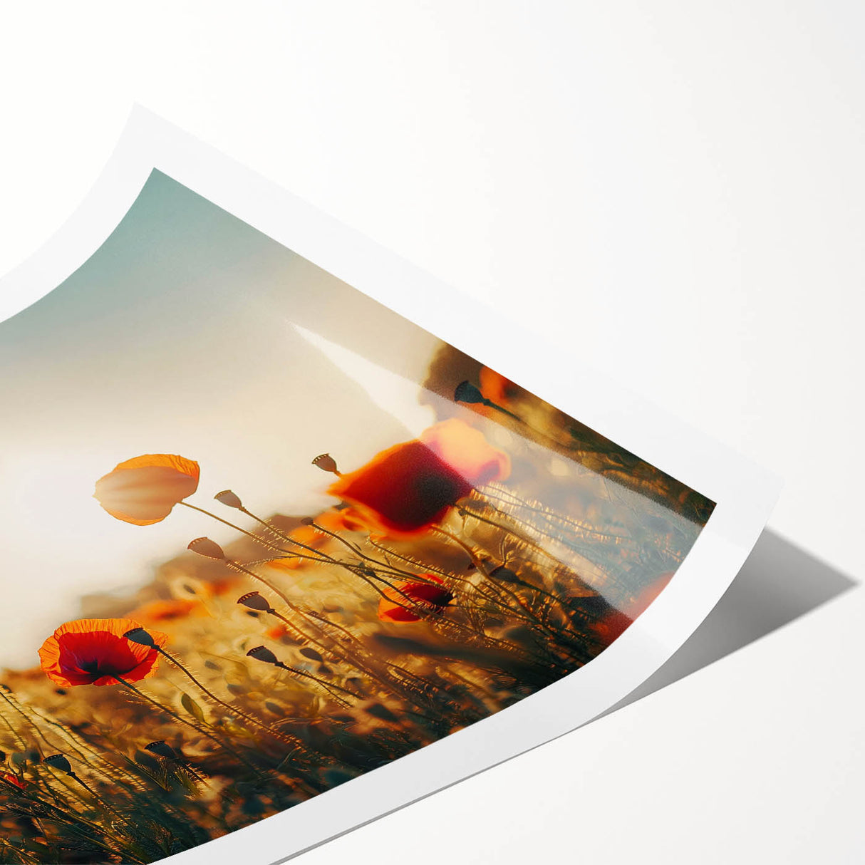 Vibrant rolled canvas print displaying a serene landscape with rolling fields and a clear blue sky, packaged securely in a protective cardboard tube for easy transportation.