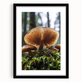 Extra large abstract art print featuring vibrant, textured floral patterns on a black framed canvas.