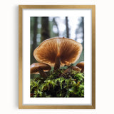 Extra large abstract art print featuring textured florals in gold and white, framed with a mat, ideal for living room decor.