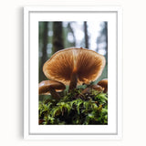 Abstract art print featuring soft floral patterns in muted pink and green tones, framed in white.