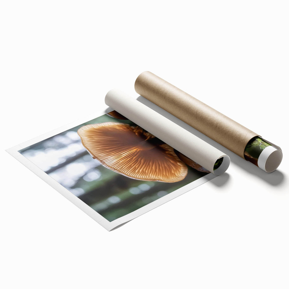 Close-up floral art on rolled print, featuring soft pink and white blooms, suitable for classy bathroom wall art.