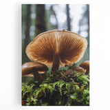 Black and white close-up floral image on large stretched canvas, suitable for kitchen wall art.