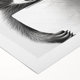 Raccoon Bathroom Wall Art - Modern Black and White Bathroom Decor