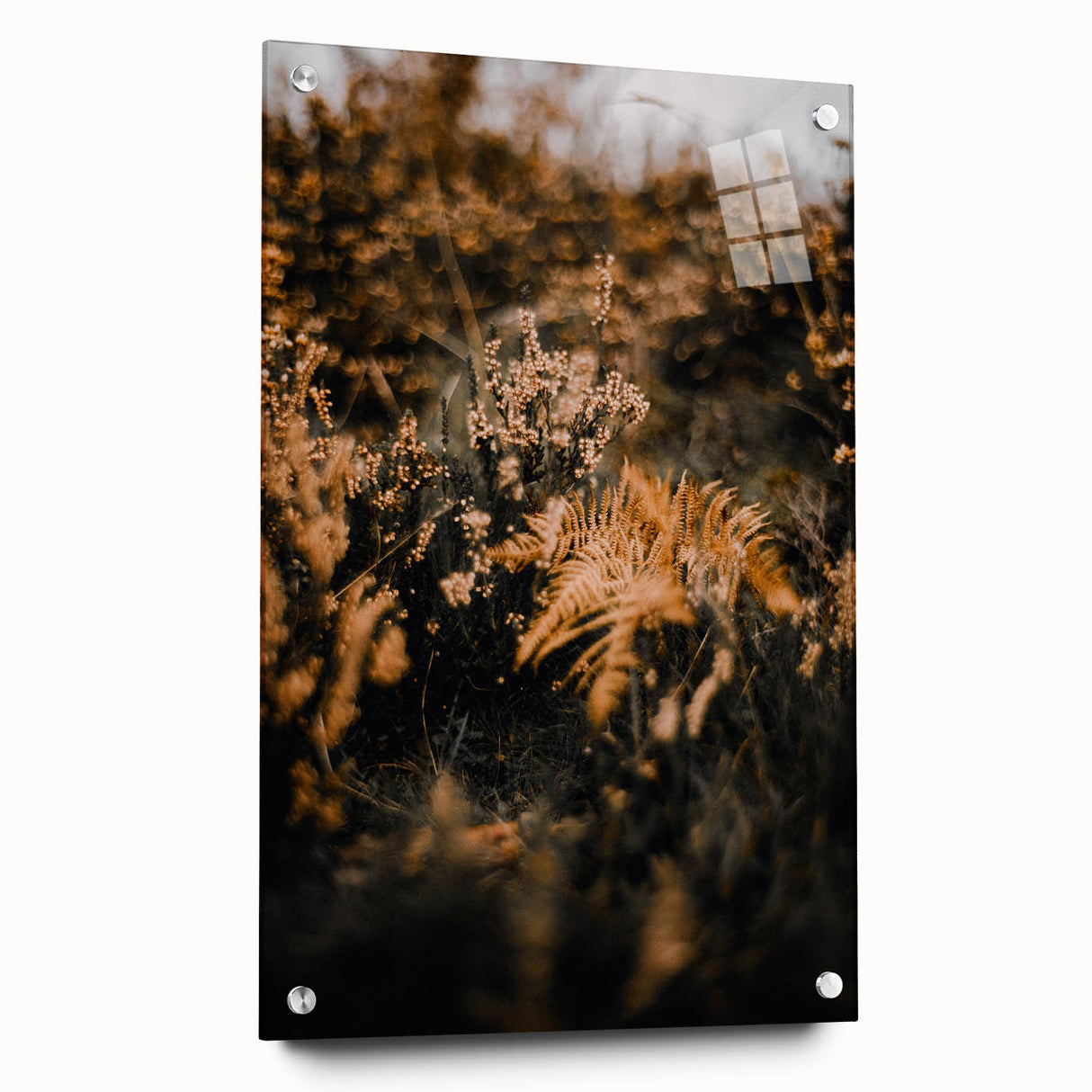 Large abstract wall art depicting fall colors on acrylic glass, ideal for bedroom or dining room decor.