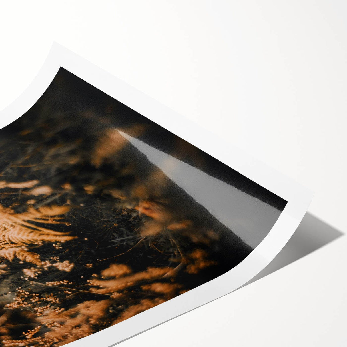 Extra large wall art featuring line art flowers in muted autumn colors on a rolled print.