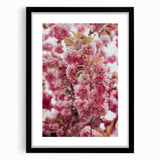 Extra large abstract art print with a colorful, textured design on a black framed canvas, ideal for living room decor.