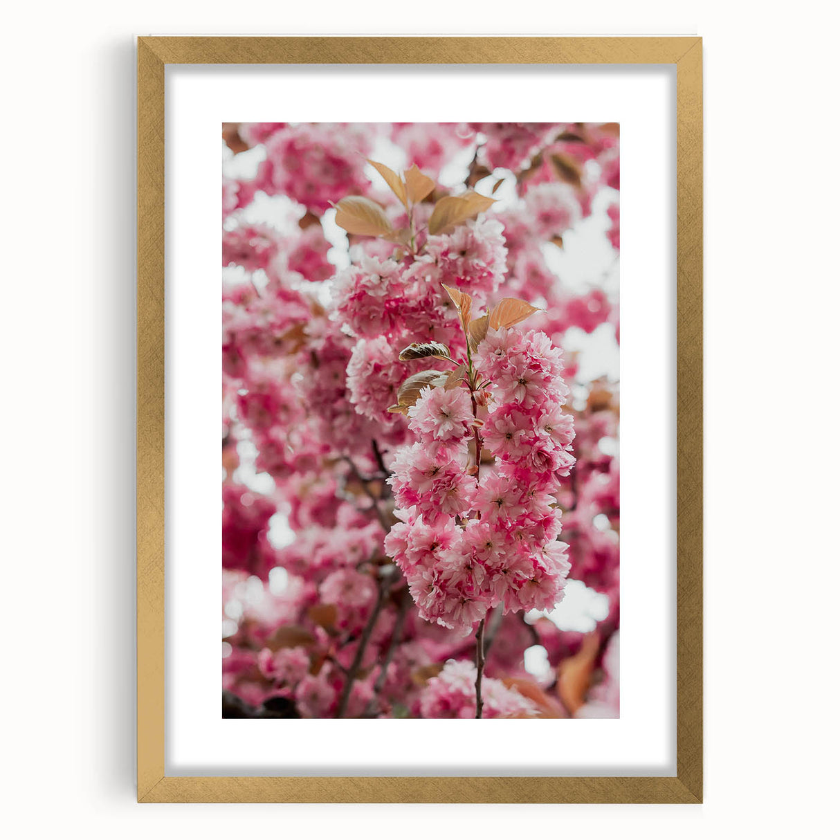 Extra large abstract art print featuring textured swirls in soft pastel colors, framed in gold, ideal for living room decor.