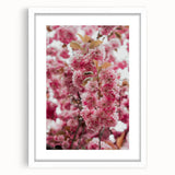 Abstract art print featuring swirling pastel hues on a white framed canvas, suitable for bedroom or dining room decor.