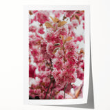 Extra large rolled canvas print featuring vibrant floral design in spring colors, ideal for dining room wall art.