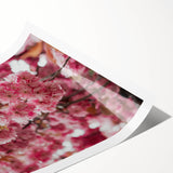 Extra large rolled print featuring line art flowers in black and white, ideal for large living room wall art.