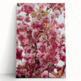 Black and white abstract floral canvas art, large format, ideal for kitchen wall art or bedroom ambiance.