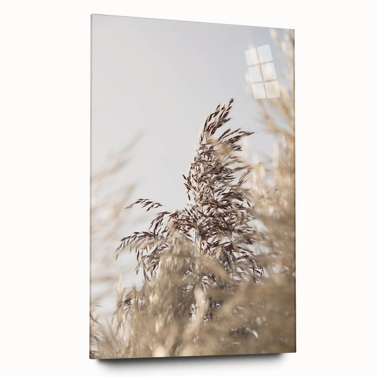 Large abstract wall art on acrylic glass featuring dynamic swirls in blue and white.
