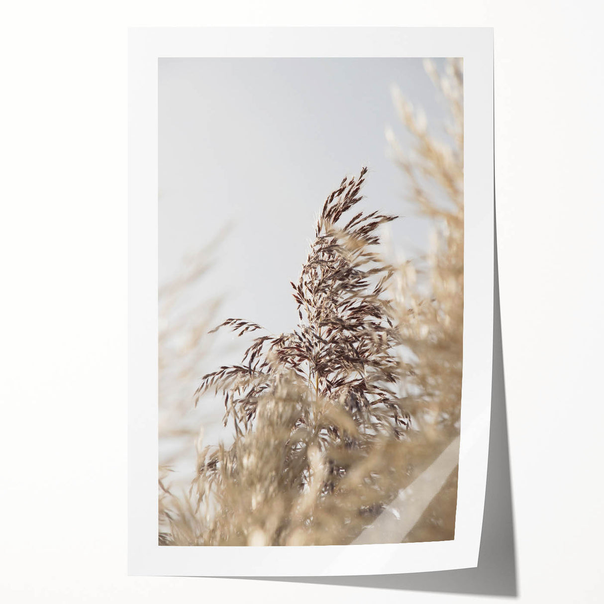 Extra large rolled print of a summer floral scene in vibrant colors, suitable as art wall dining room decor.