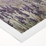 Rustic Lavender Field Wall Art - Vintage Farmhouse Nature Print