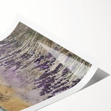 Rustic Lavender Field Wall Art - Vintage Farmhouse Nature Print