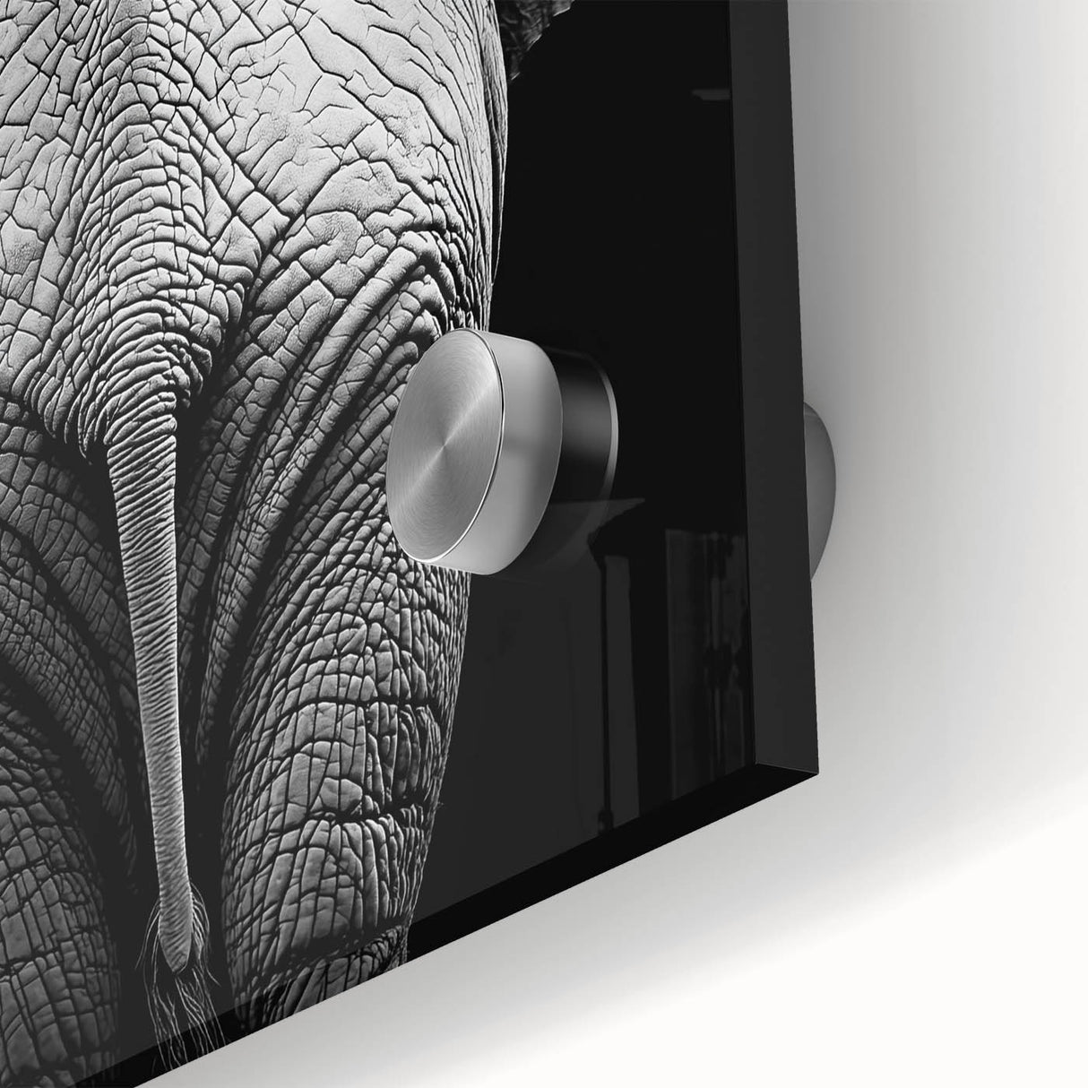 Close-up of vibrant acrylic glass artwork depicting a detailed animal design, showcasing rich colors and intricate textures ideal for home decor or art enthusiasts.