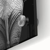 Close-up of vibrant acrylic glass artwork depicting a detailed animal design, showcasing rich colors and intricate textures ideal for home decor or art enthusiasts.
