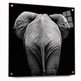 Acrylic glass display showcasing a side view of a vibrant animal design with colorful pins, ideal for modern decor and art enthusiasts. This unique piece blends artistic flair with functionality, perfect for animal lovers and interior design aficionados.
