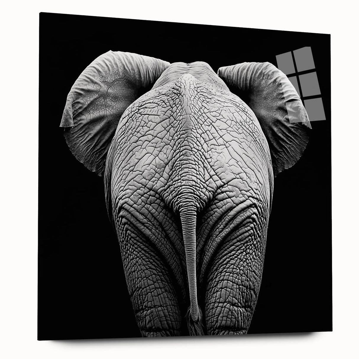 Acrylic glass display showcasing a side view of a vibrant animal design featuring colorful motifs on a sleek background, perfect for modern decor and animal lovers.