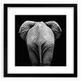 Black-framed animal-themed wall art print featuring a variety of wildlife illustrations, set against a white background with a textured mat for a sophisticated look. Ideal for enhancing home decor with nature-inspired elegance.