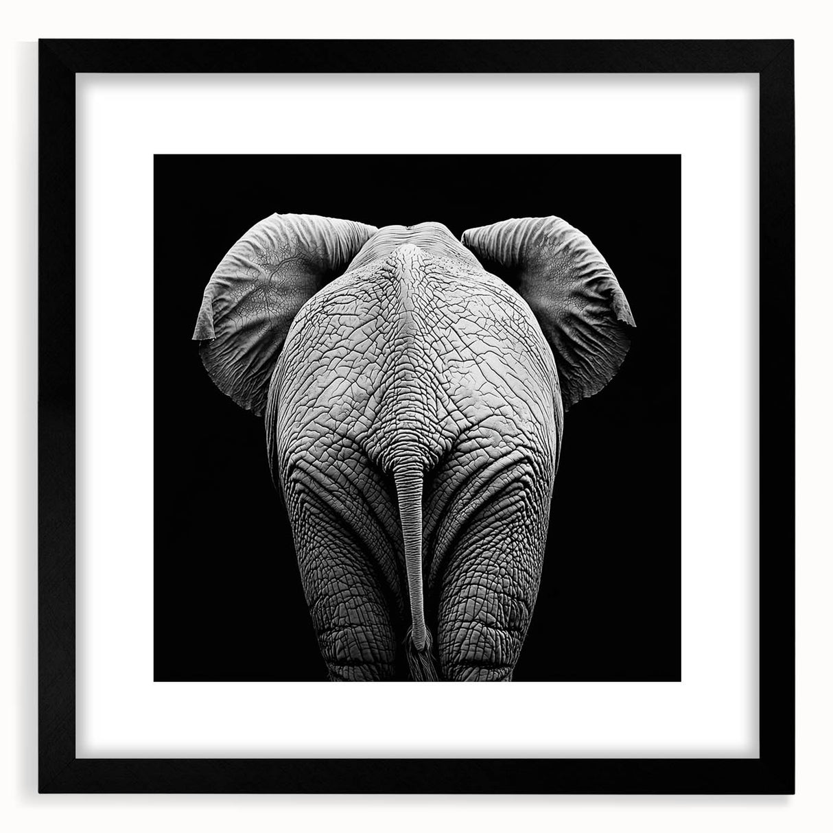 Black-framed animal-themed wall art print featuring a variety of wildlife illustrations, set against a white background with a textured mat for a sophisticated look. Ideal for enhancing home decor with nature-inspired elegance.
