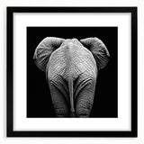 Black-framed animal-themed wall art print featuring a variety of wildlife illustrations, set against a white background with a textured mat for a sophisticated look. Ideal for enhancing home decor with nature-inspired elegance.