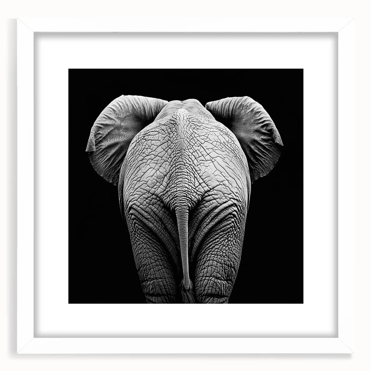 Framed wall art featuring a collection of 55 colorful animal illustrations with a white mat. The front view highlights vibrant details, perfect for home decor.