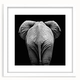 Framed wall art featuring a collection of 55 colorful animal illustrations with a white mat. The front view highlights vibrant details, perfect for home decor.